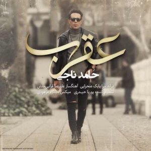Hamed Naji Aghrab 300x300 - دانلود آهنگ جدید حامد ناجی عقرب
