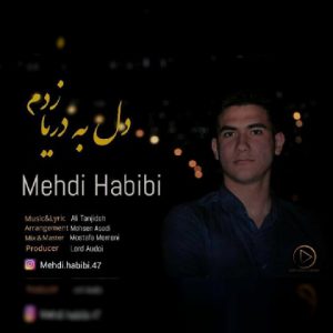 mehdi habibi del be darya zadam 2019 05 15 13 32 52 300x300 - دانلود آهنگ مهدی حبیبی دل به دریا زدم‬