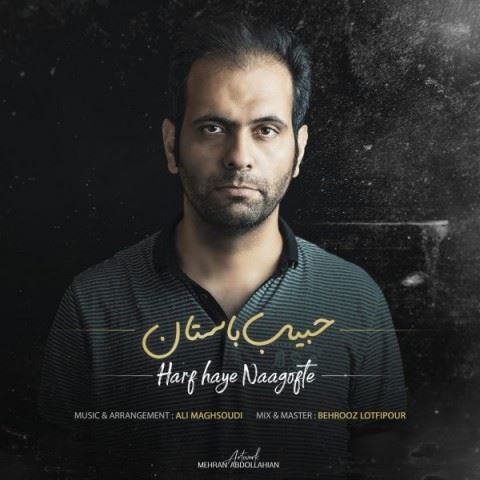 Habib Bastan Harfhaye Naghofte ironmusic - دانلود آهنگ حرفهای ناگفته حبیب باستان